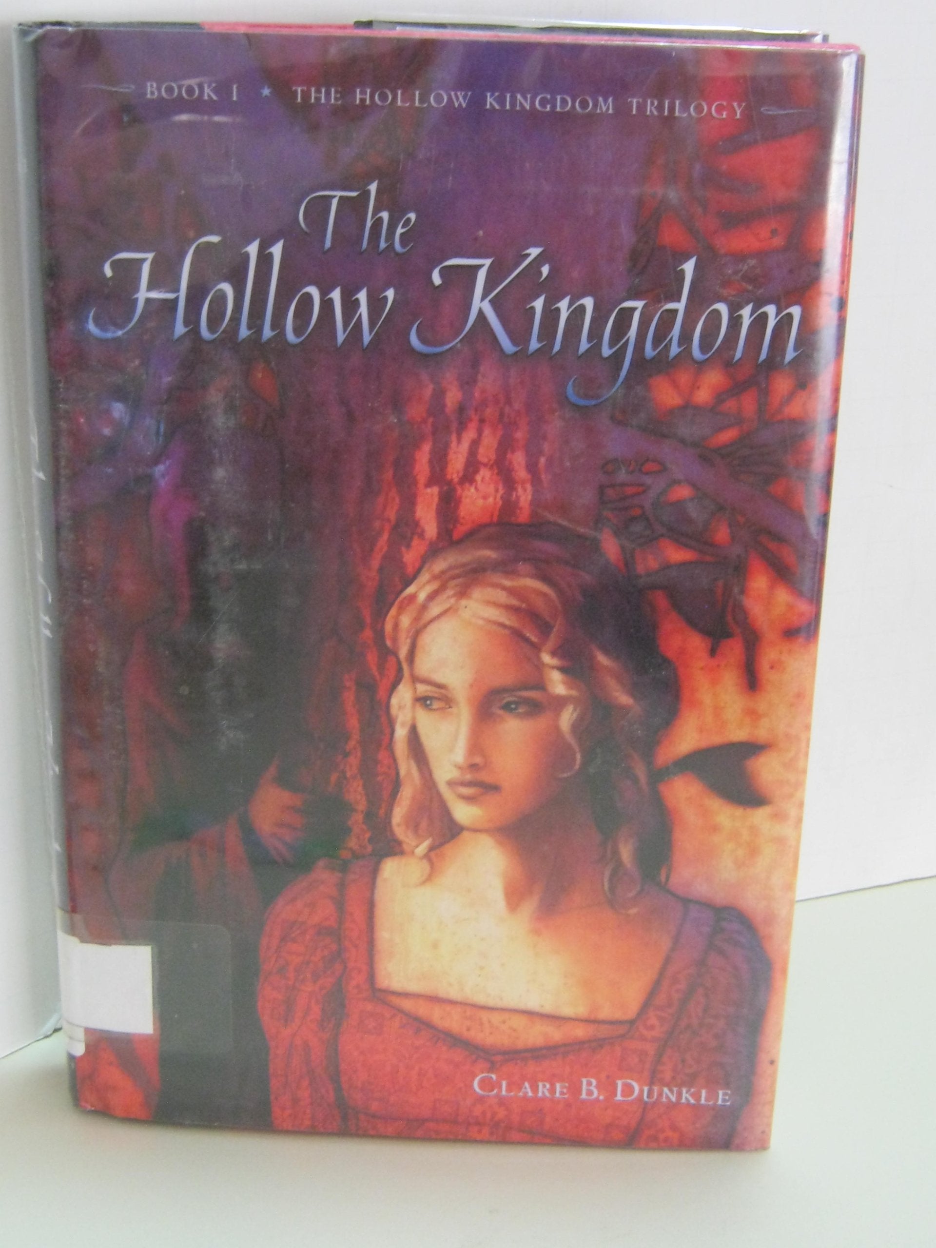 Hollow Kingdom: Book I -- The Hollow Kingdom Trilogy book cover