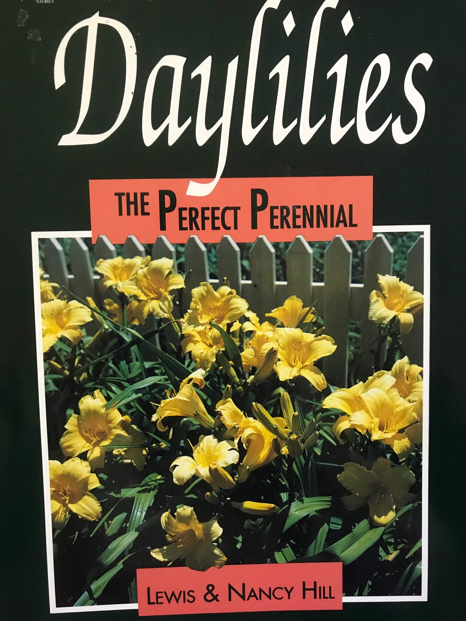 Daylilies: The Perfect Perennial book cover