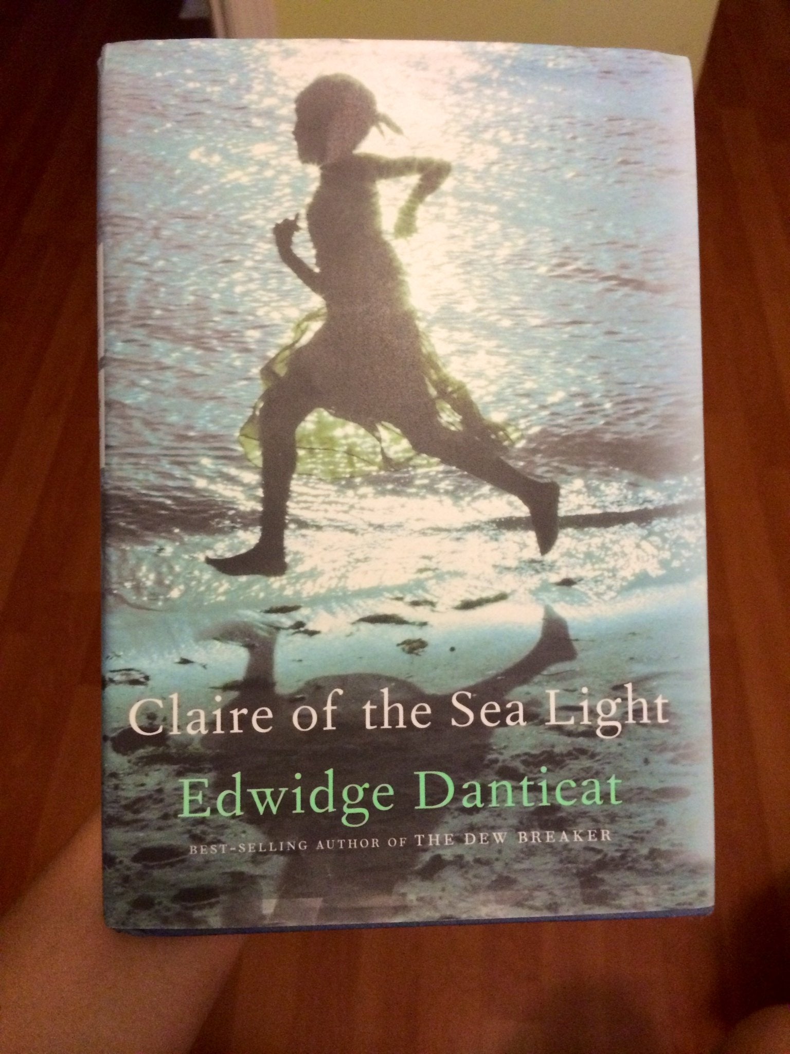 Claire of the Sea Light book cover