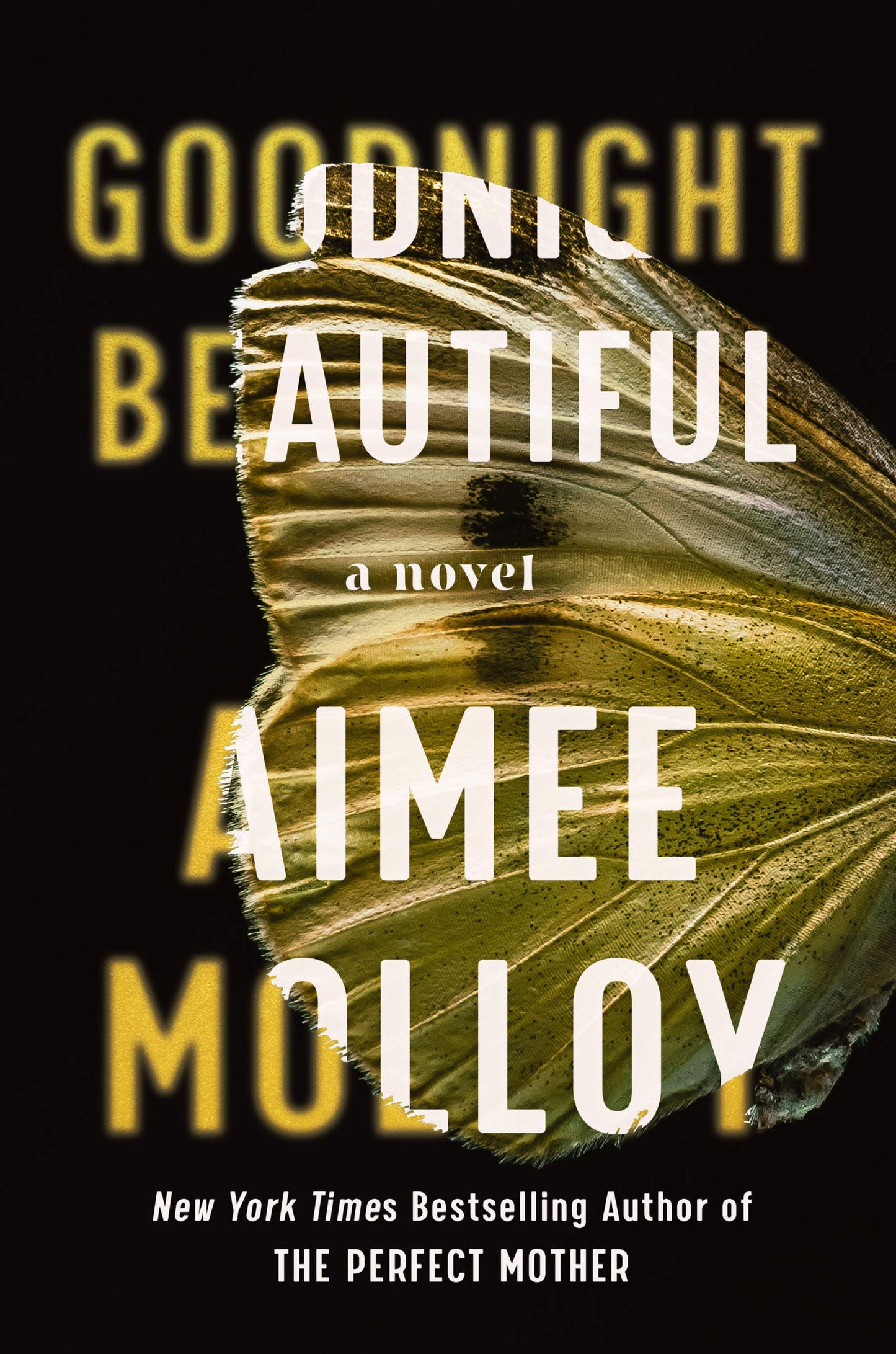 Goodnight Beautiful book cover