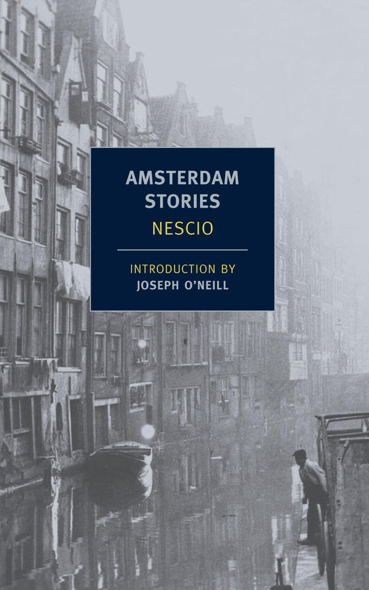 Amsterdam Stories book cover