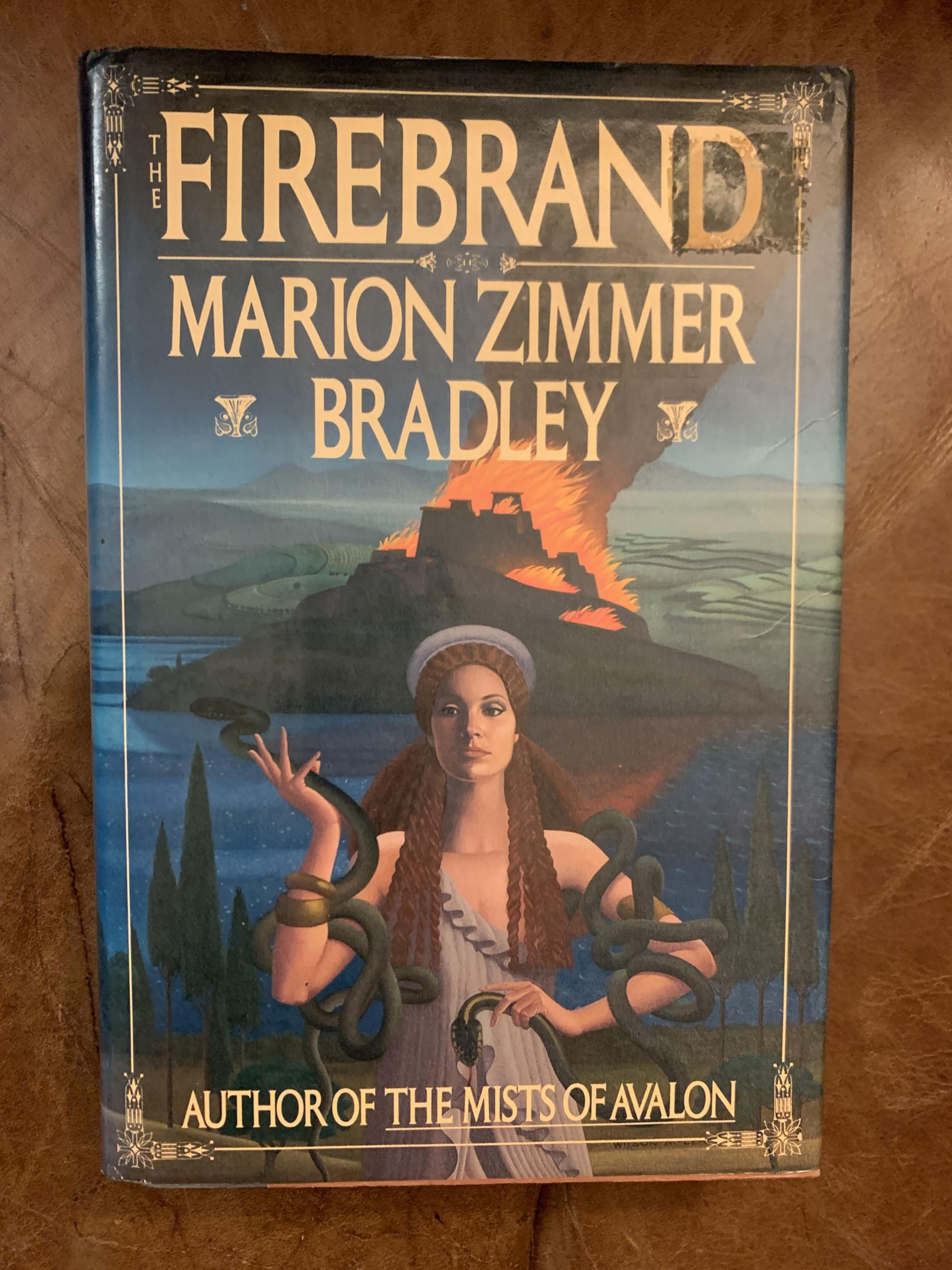 Firebrand book cover