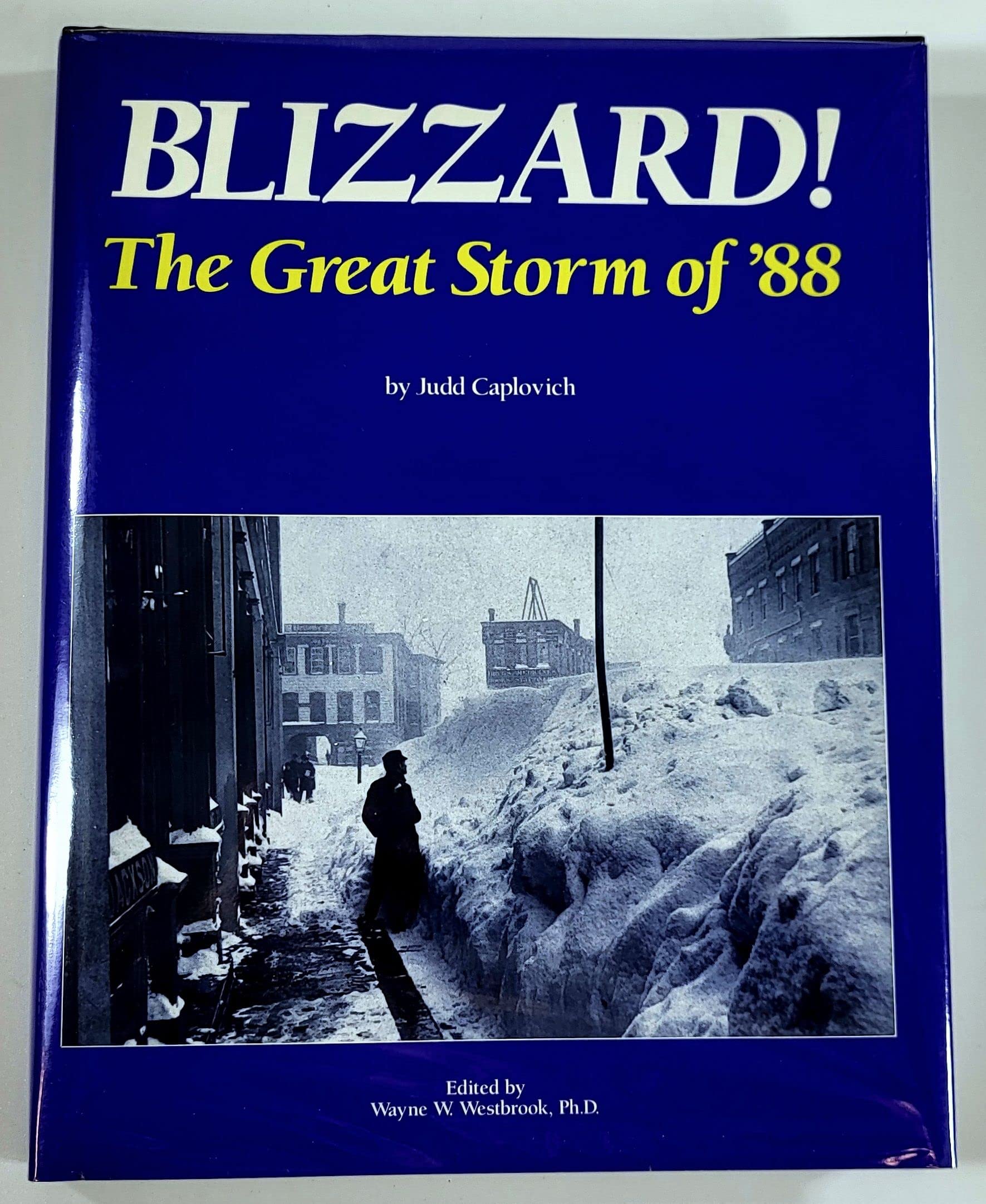 Blizzard: The Great Storm of 88 book cover