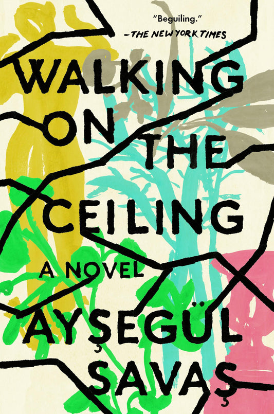 Walking on the Ceiling book cover