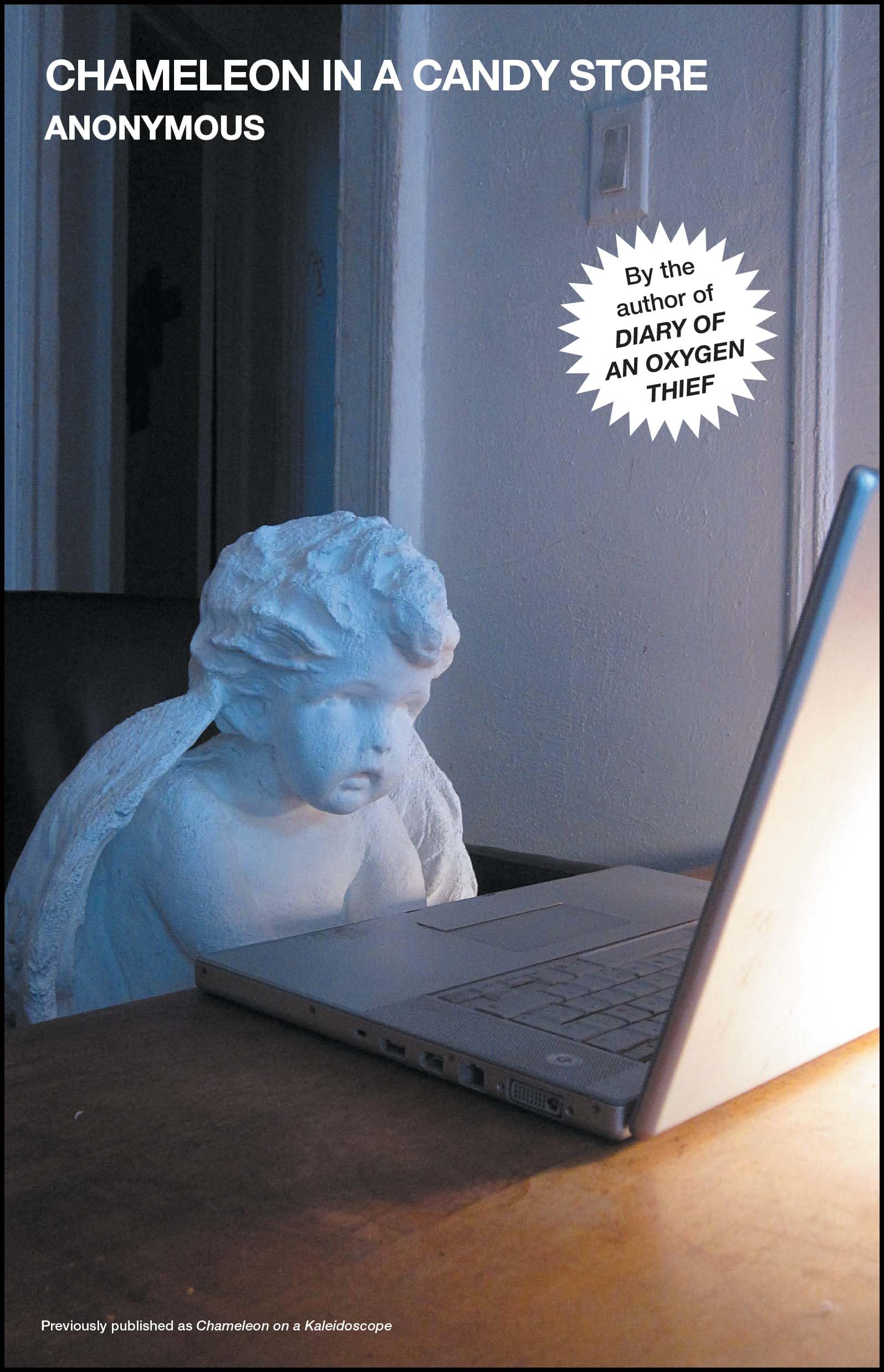 Chameleon in a Candy Store book cover