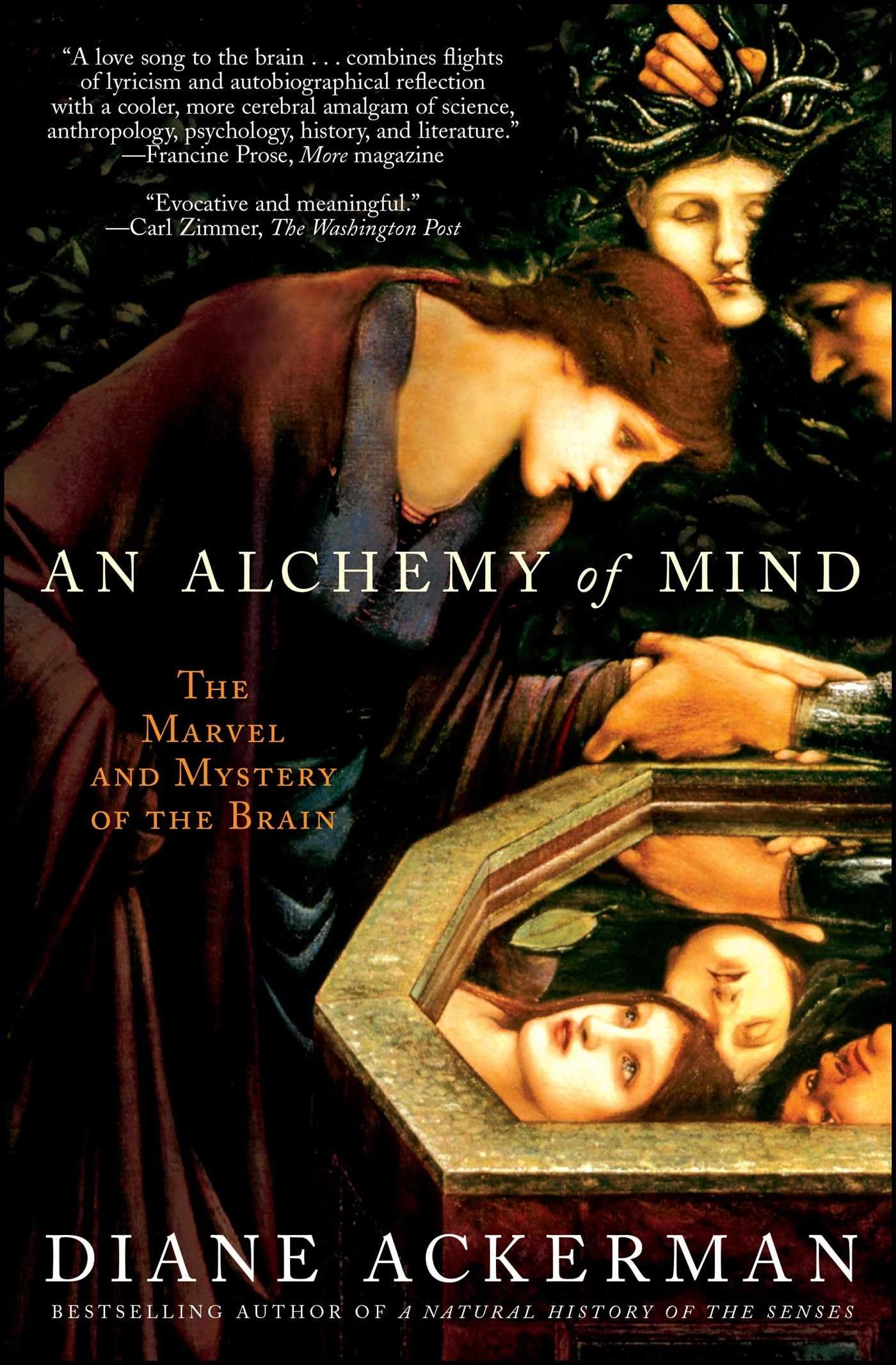 An Alchemy of Mind: The Marvel and Mystery of the Brain book cover