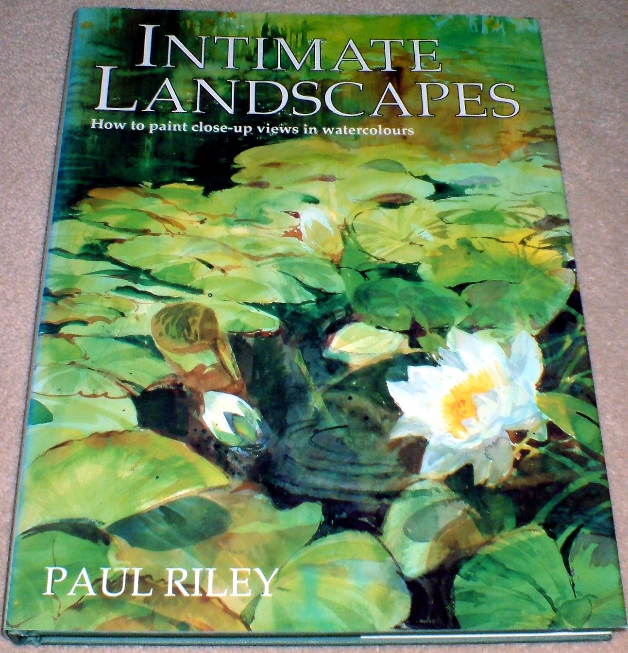 Intimate Landscapes