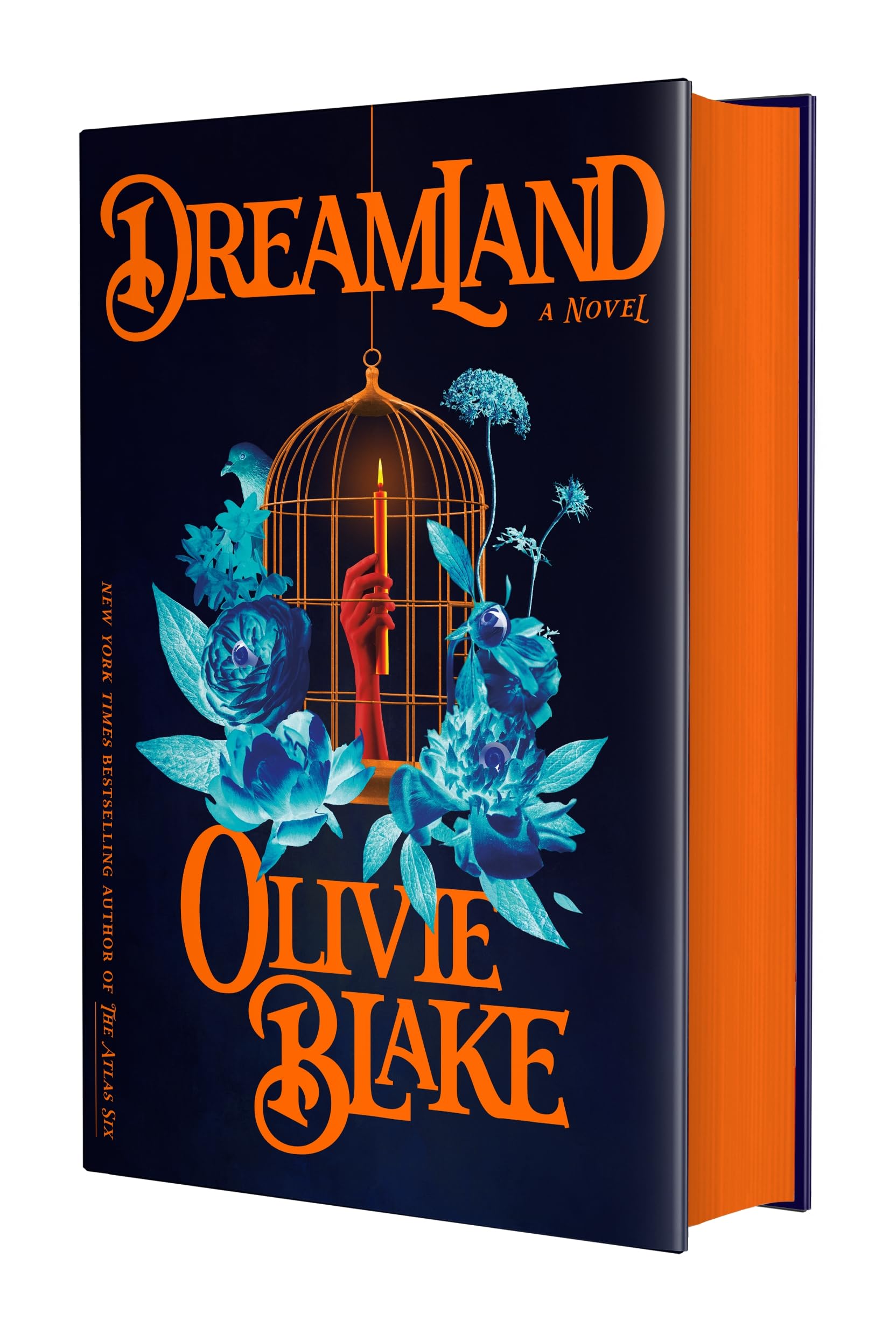 Dreamland book cover