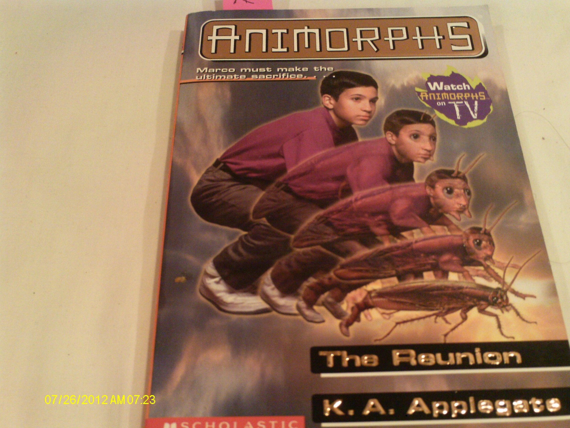 Reunion book cover