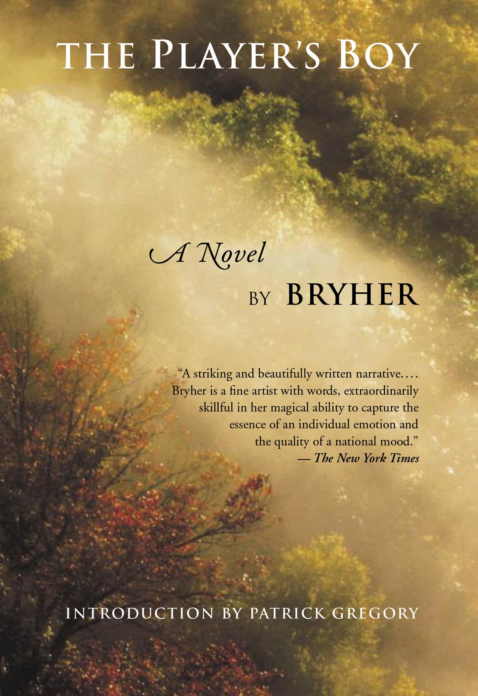 Player's Boy book cover