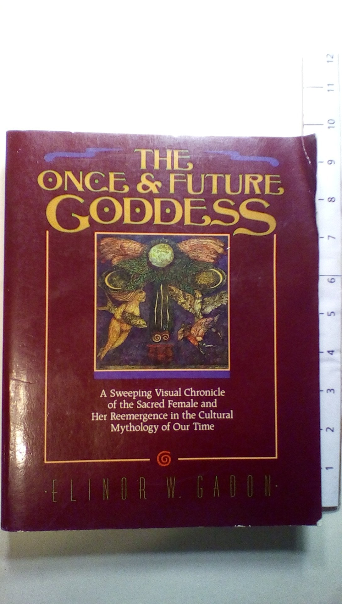 Once and Future Goddess: A Sweeping Visual Chronicle of the Sacred Female and Her Reemergence in the Cult book cover
