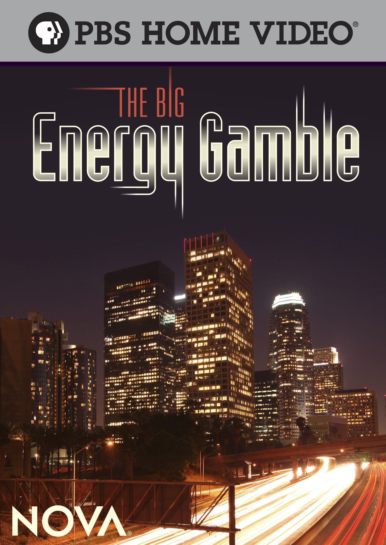 Nova: Big Energy Gamble book cover