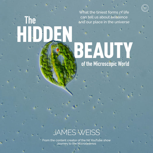 Hidden Beauty of the Microscopic World: What the Tiniest Forms of Life Can Tells Us about Existence and Our Place in the Universe