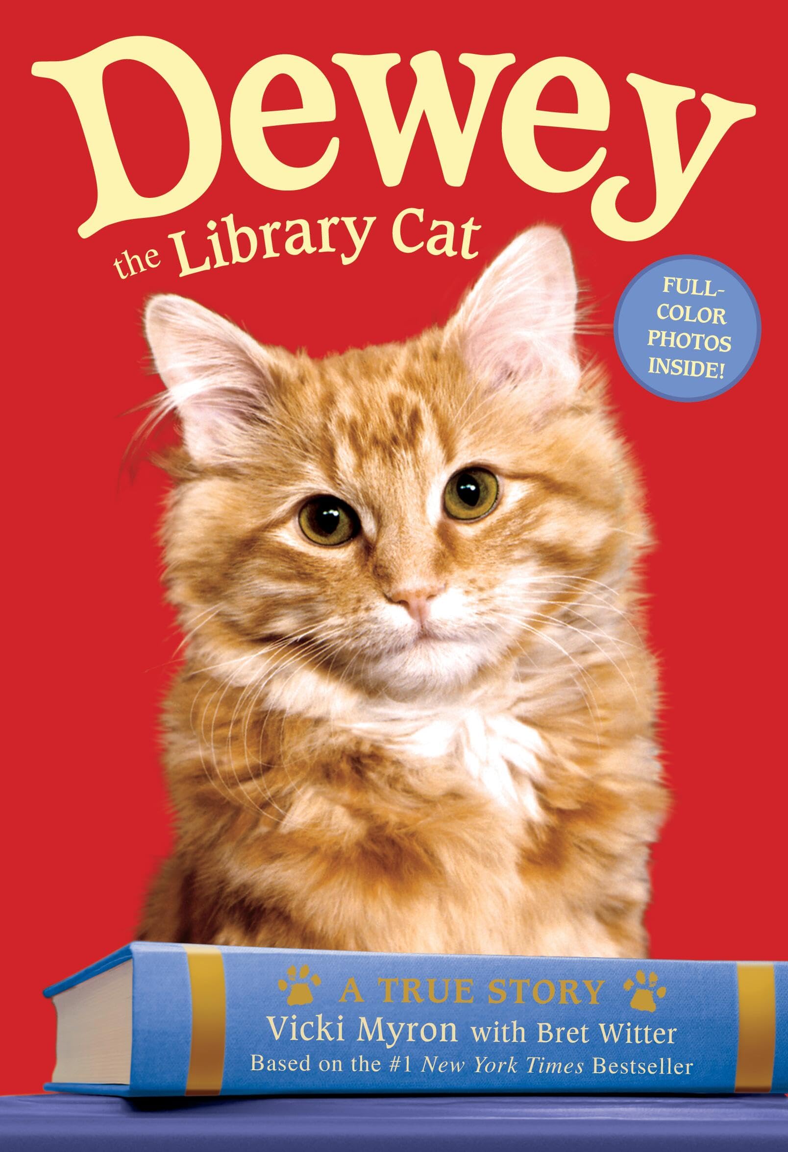 Dewey the Library Cat: A True Story book cover