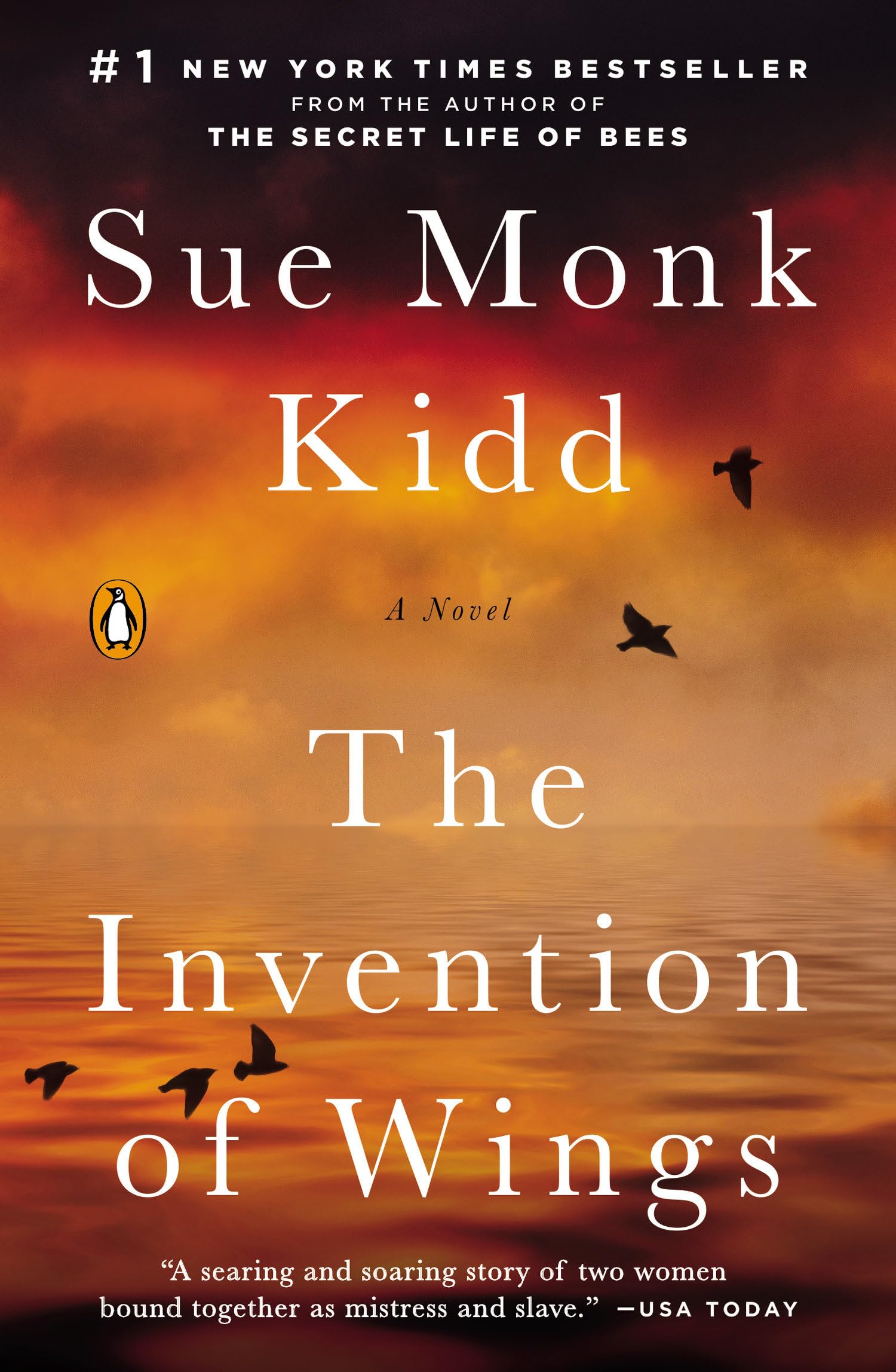 Invention of Wings book cover