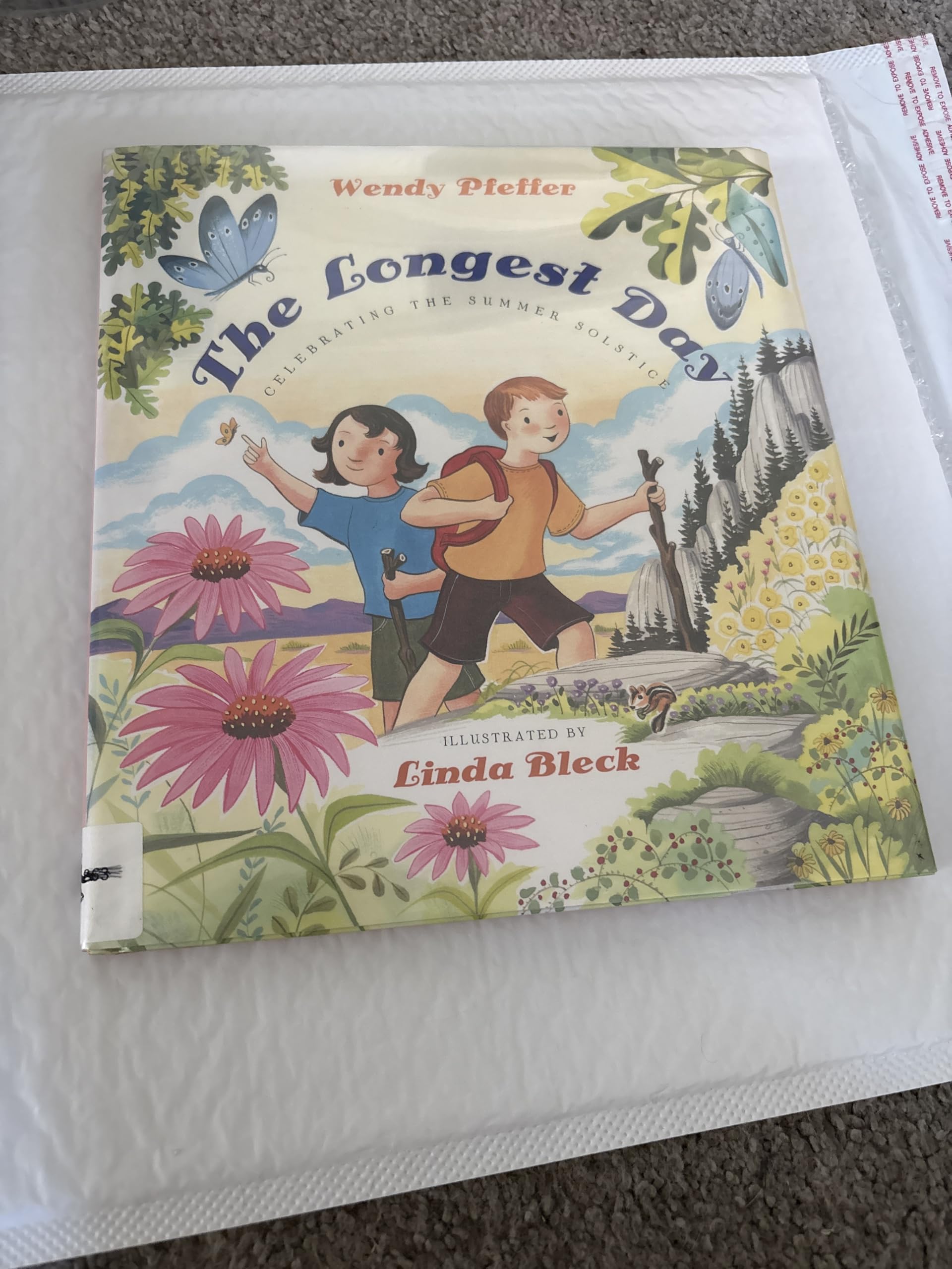 Longest Day: Celebrating the Summer Solstice book cover