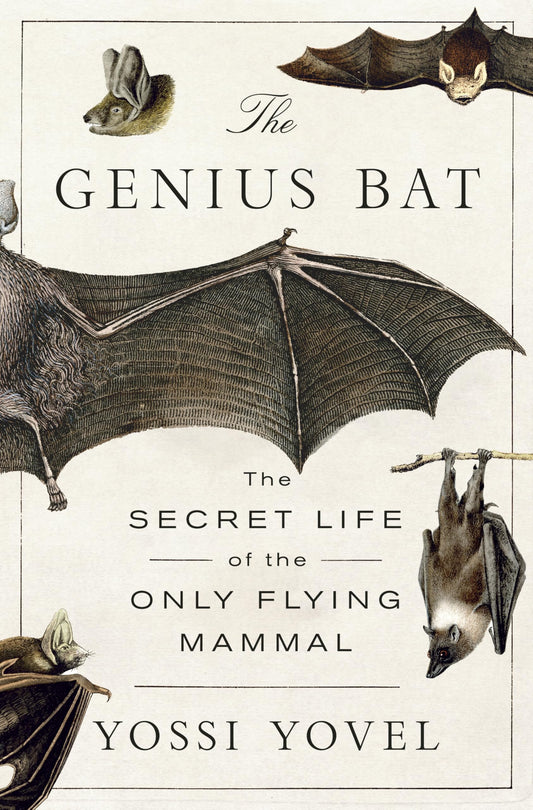 The Genius Bat book cover