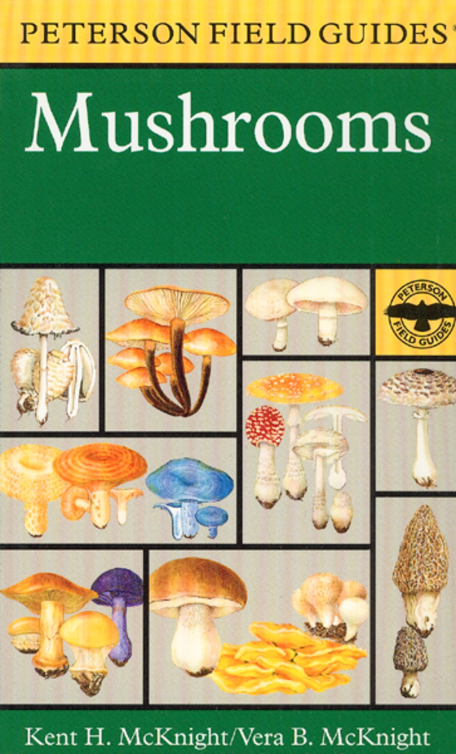 Peterson Field Guide to Mushrooms: North America book cover