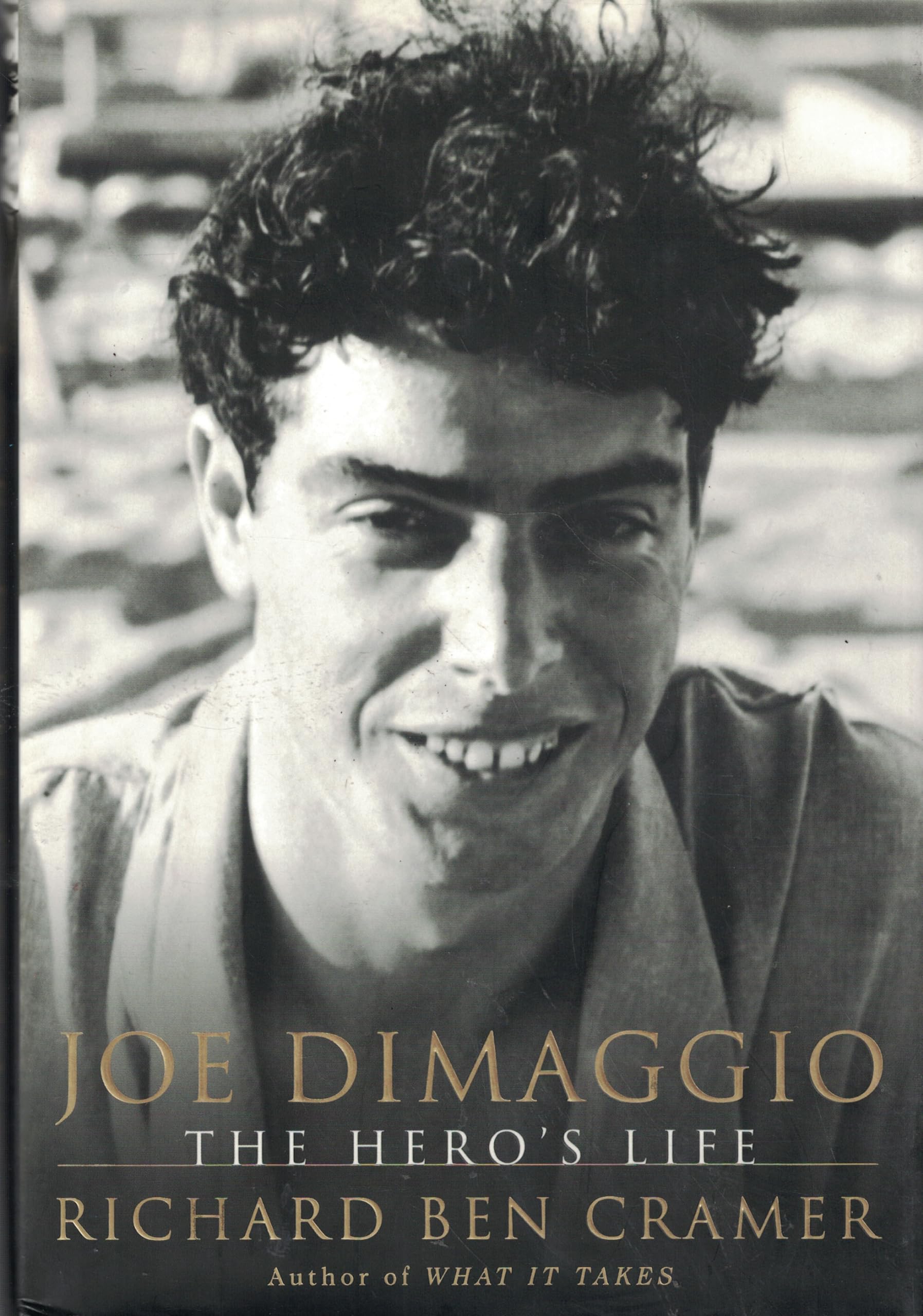 Joe DiMaggio: The Hero's Life book cover