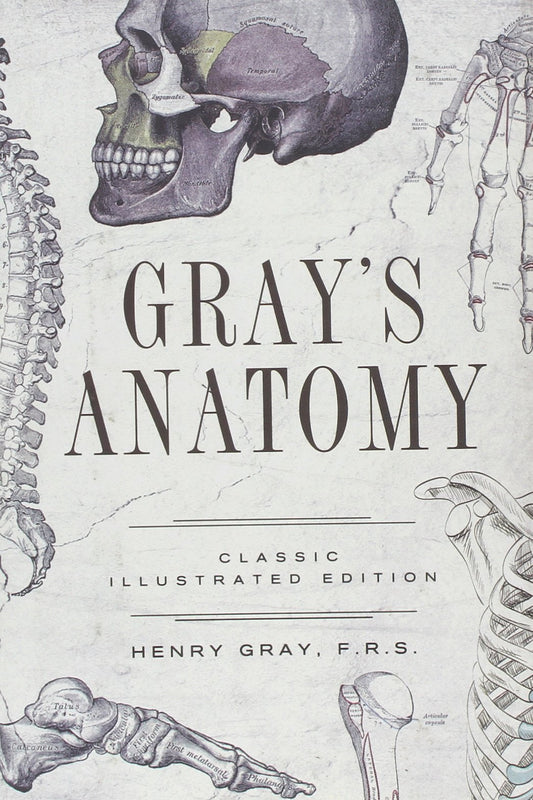 Anatomy: Descriptive and Surgical