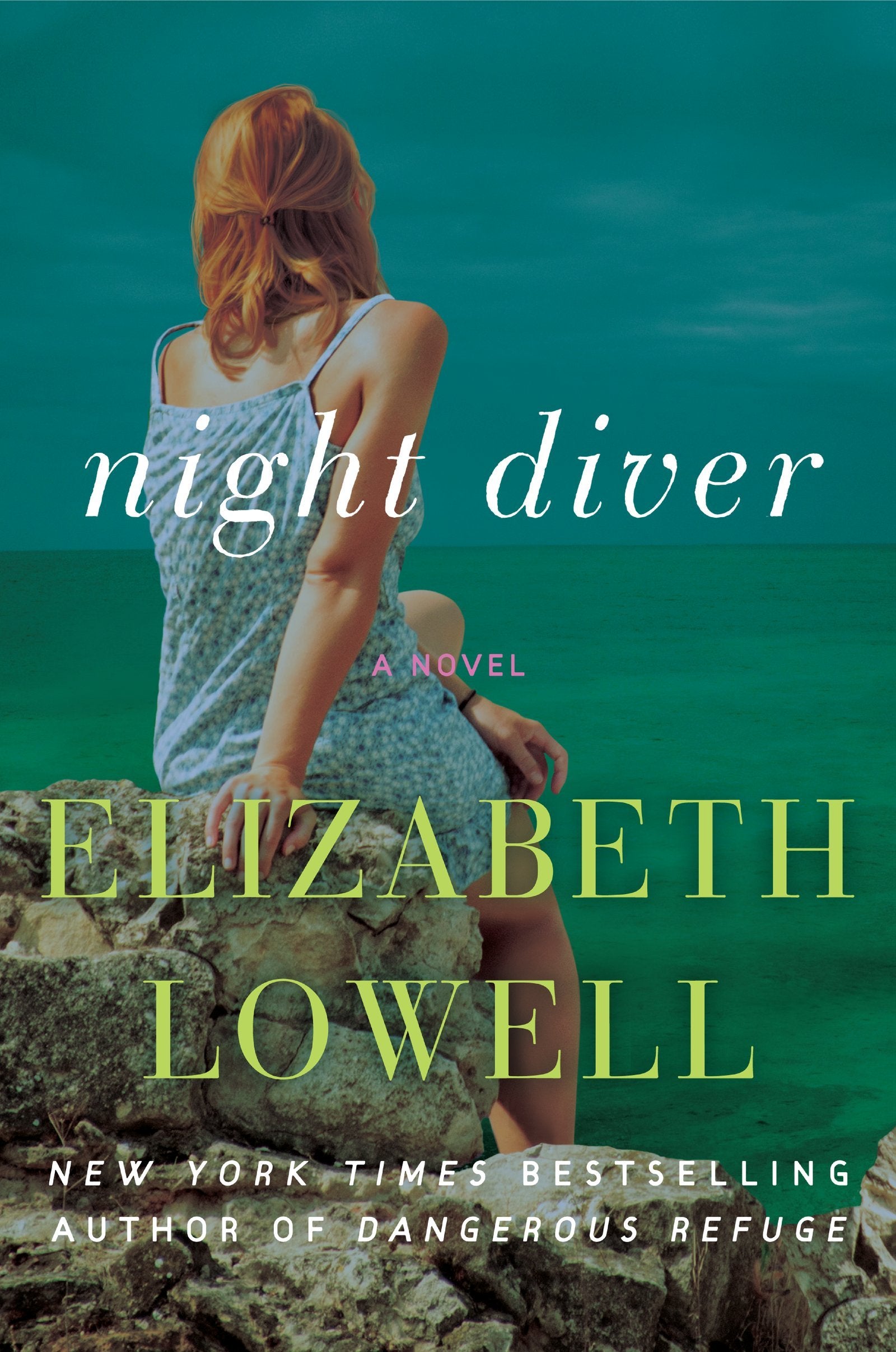Night Diver book cover
