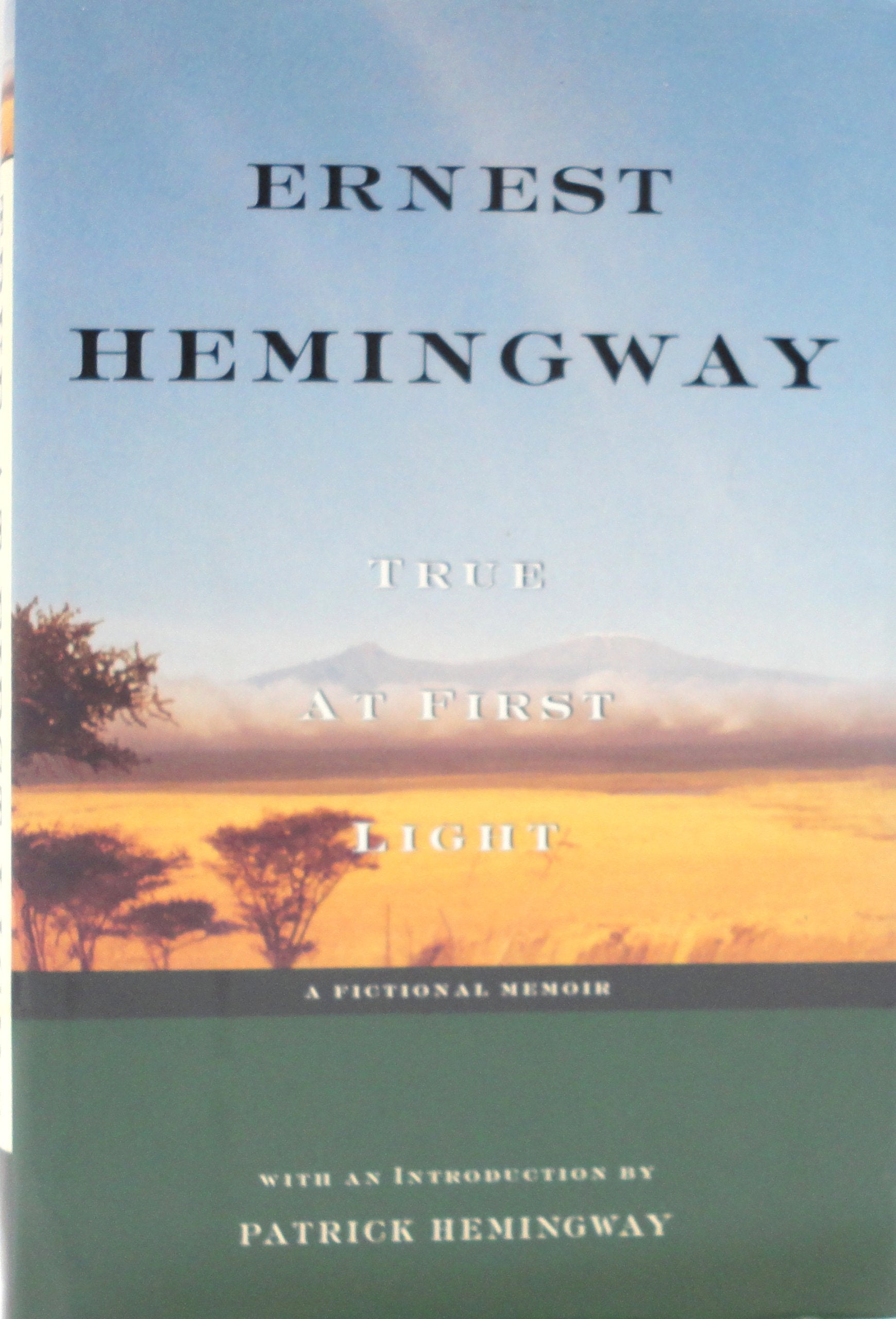 True at First Light book cover
