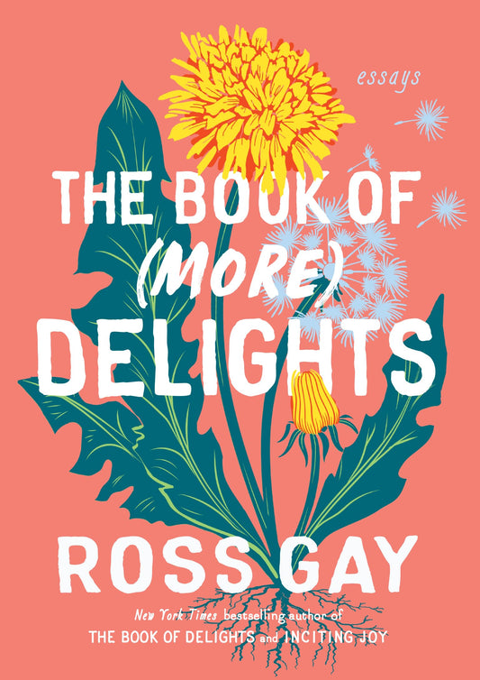 Book of (More) Delights: Essays book cover