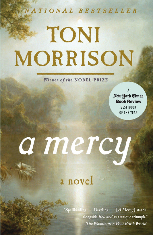 A Mercy book cover
