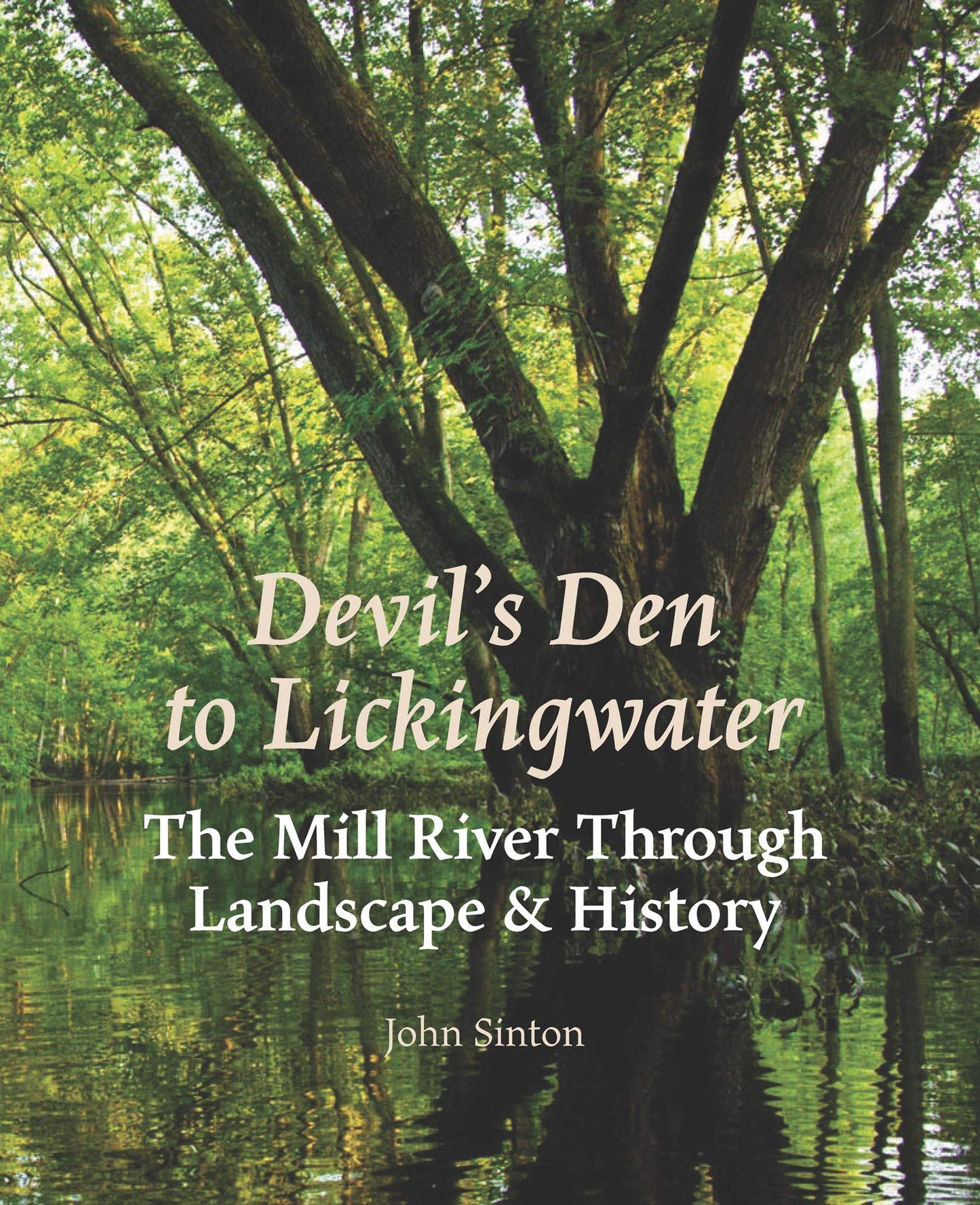 Devil's Den to Lickingwater book cover