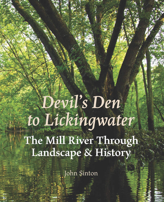 Devil's Den to Lickingwater: The Mill River Through Landscape & History book cover
