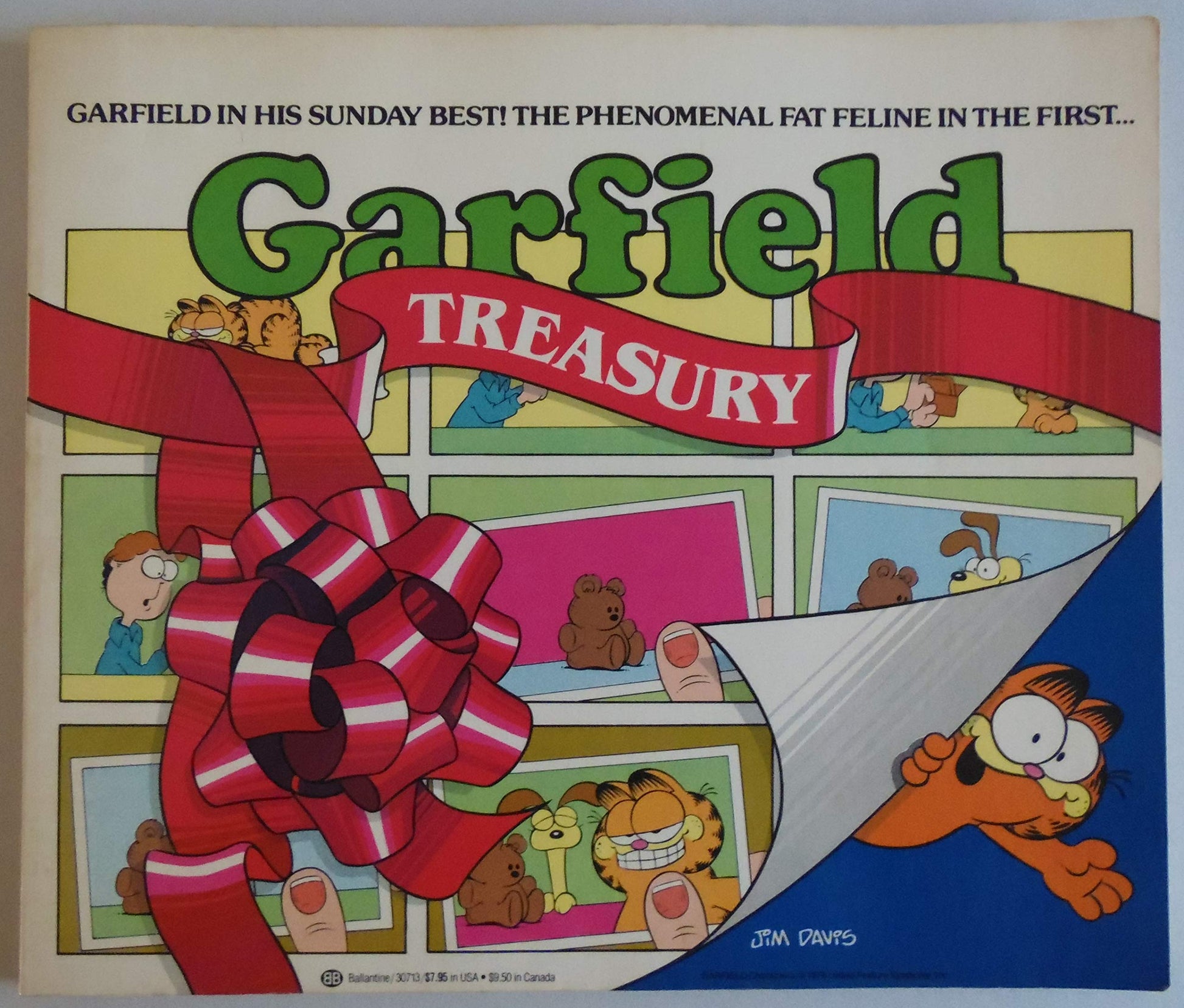 Garfield Treasury book cover