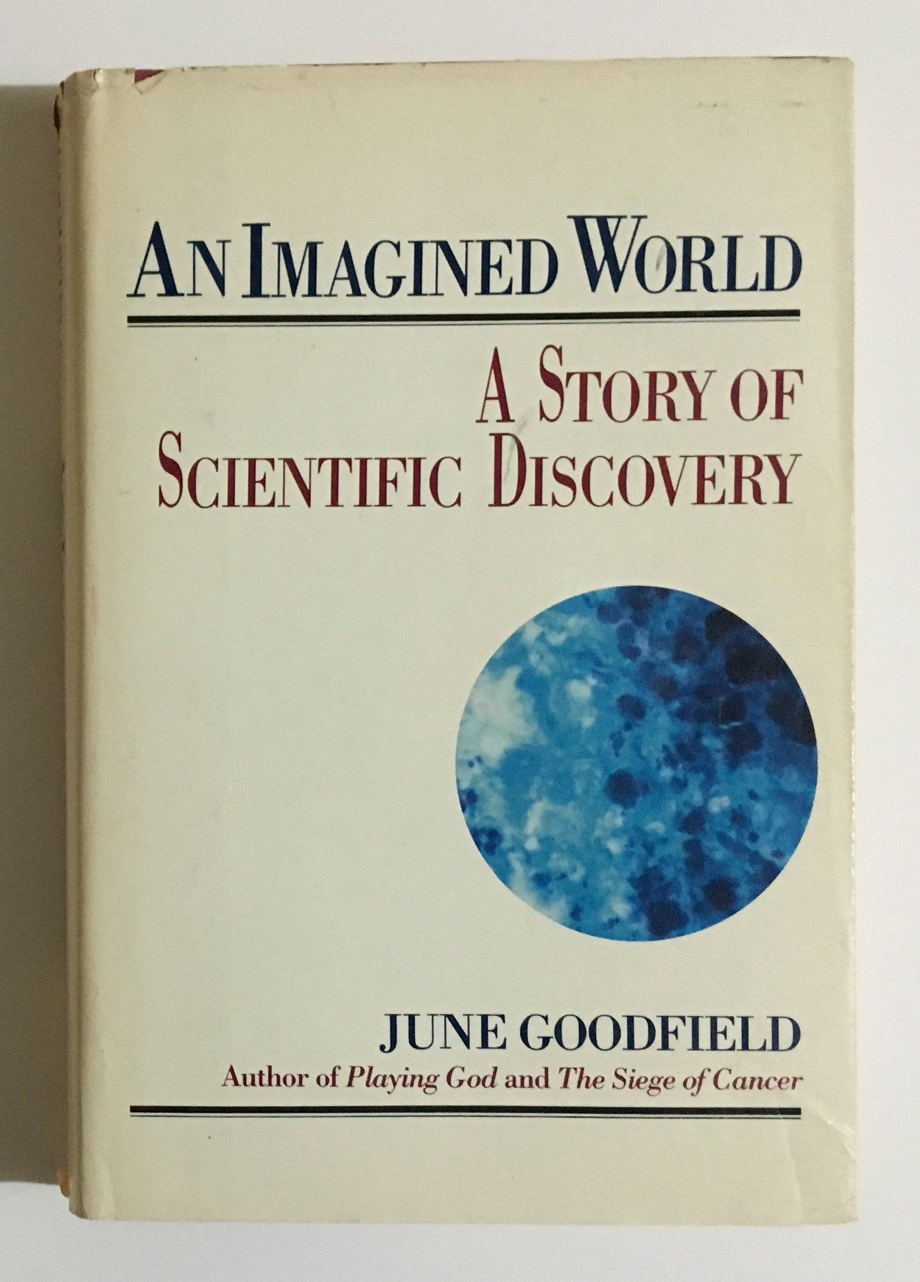 Imagined World: A Story of Scientific Discovery (Us) book cover