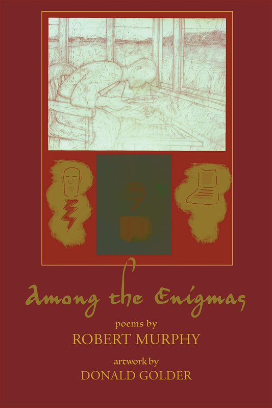 Among the Enigmas book cover