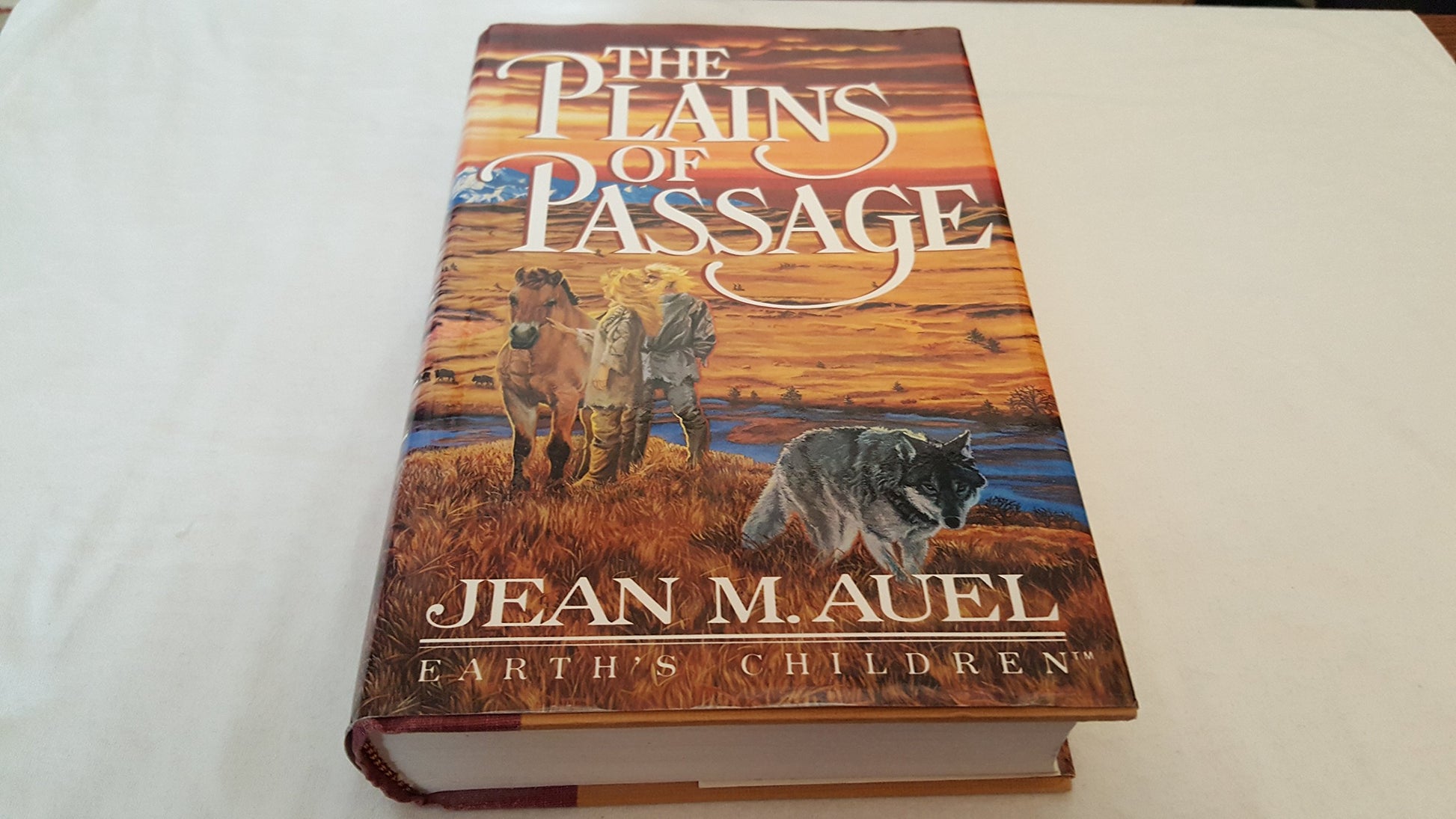 Plains of Passage book cover