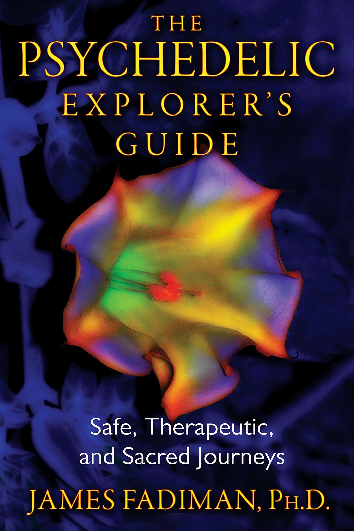 Psychedelic Explorer's Guide: Safe, Therapeutic, and Sacred Journeys