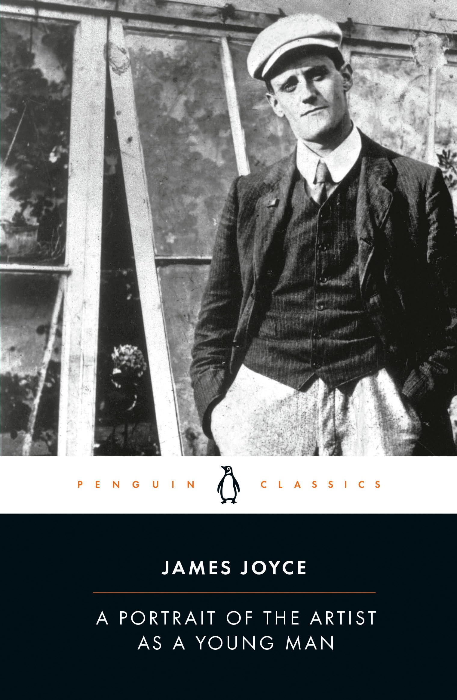 A Portrait of the Artist as a Young Man book cover