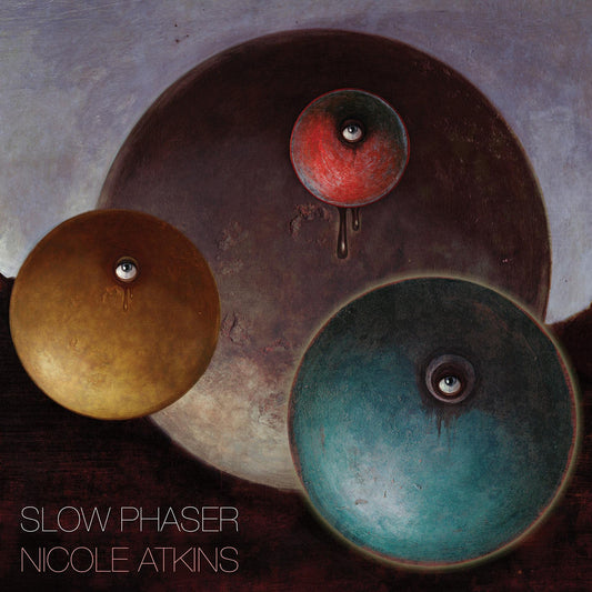 Slow Phaser book cover