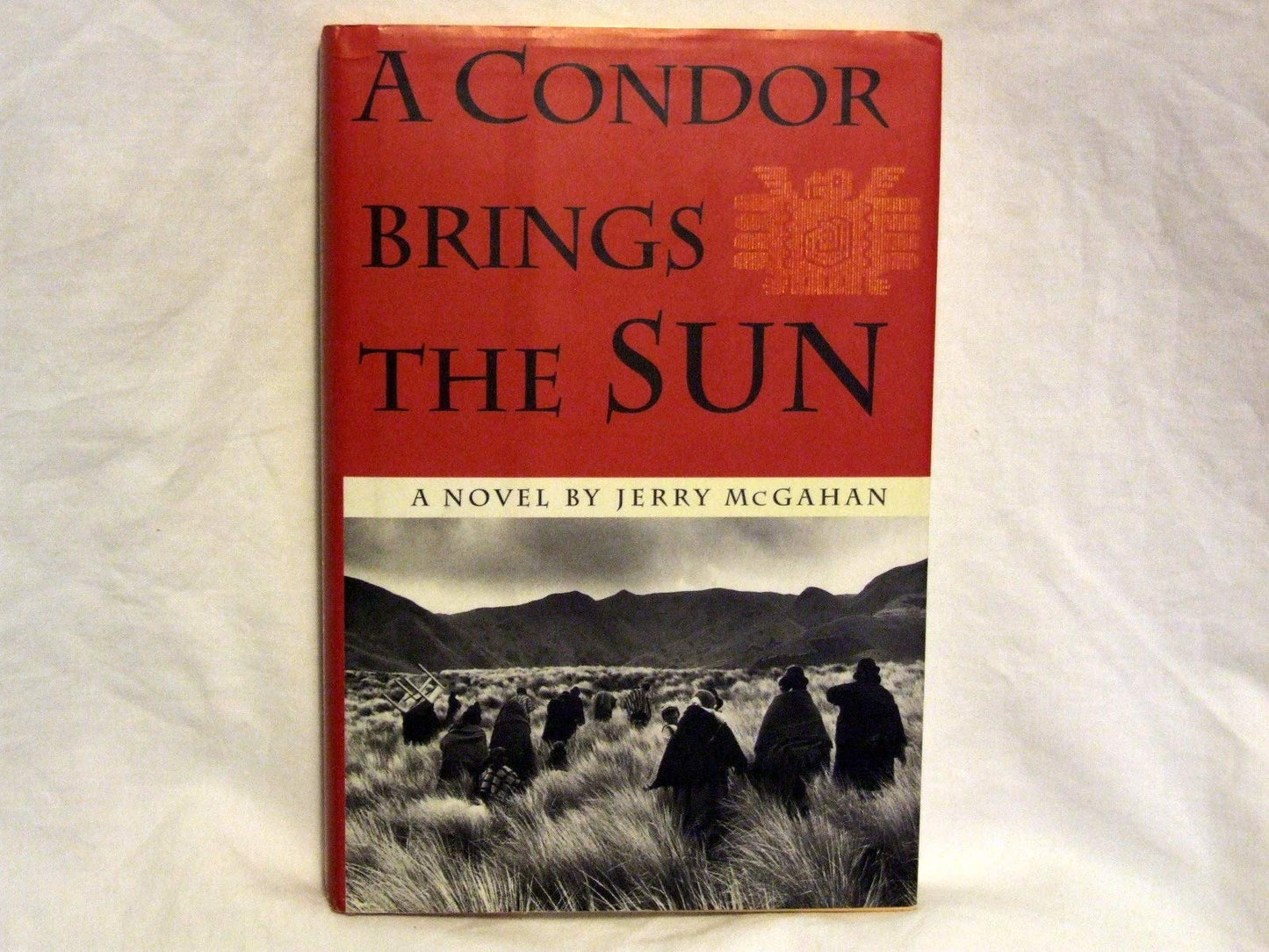 Sch-Condor Brings the Sun book cover