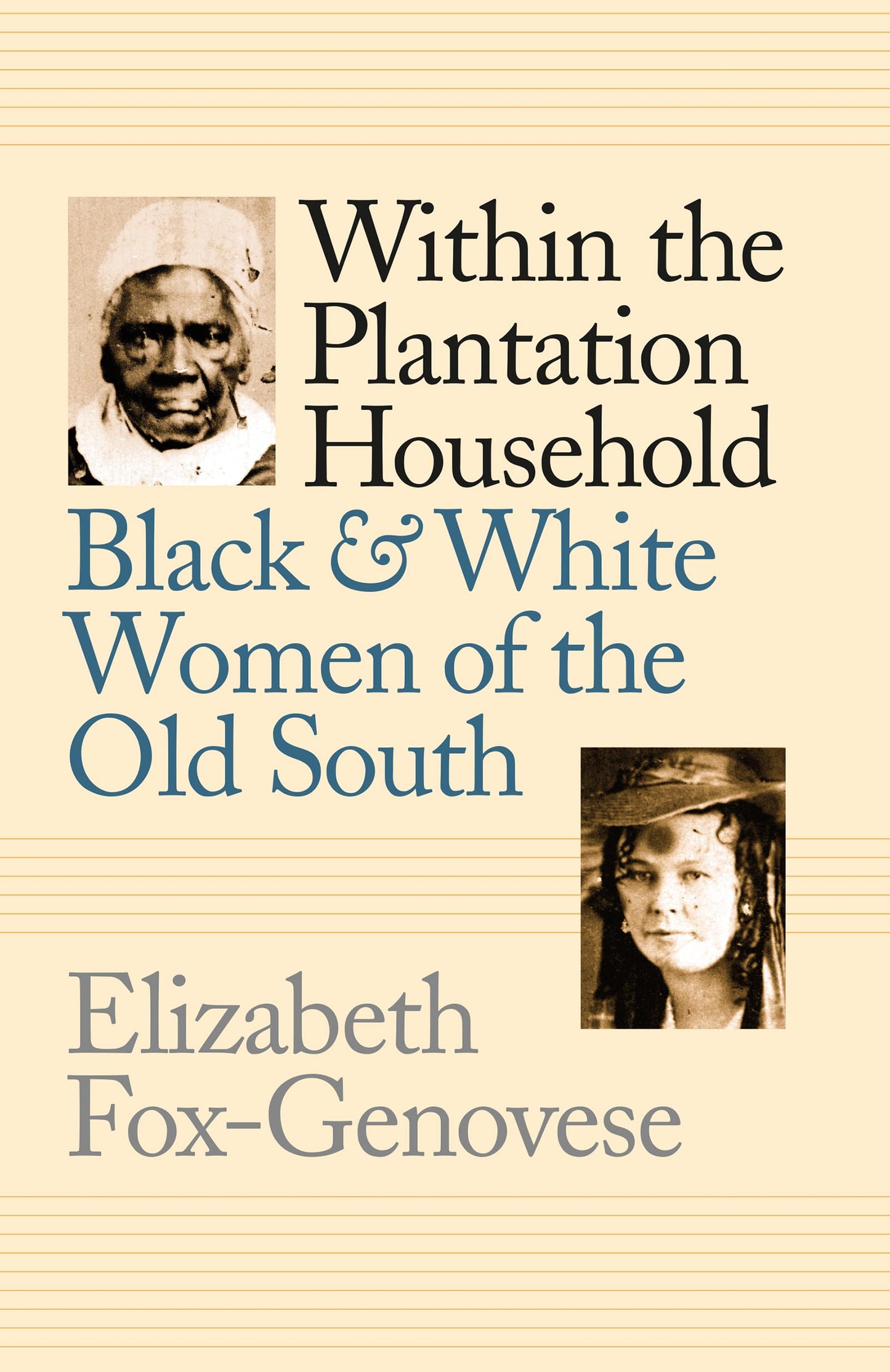 Within the Plantation Household: Black and White Women of the Old South book cover