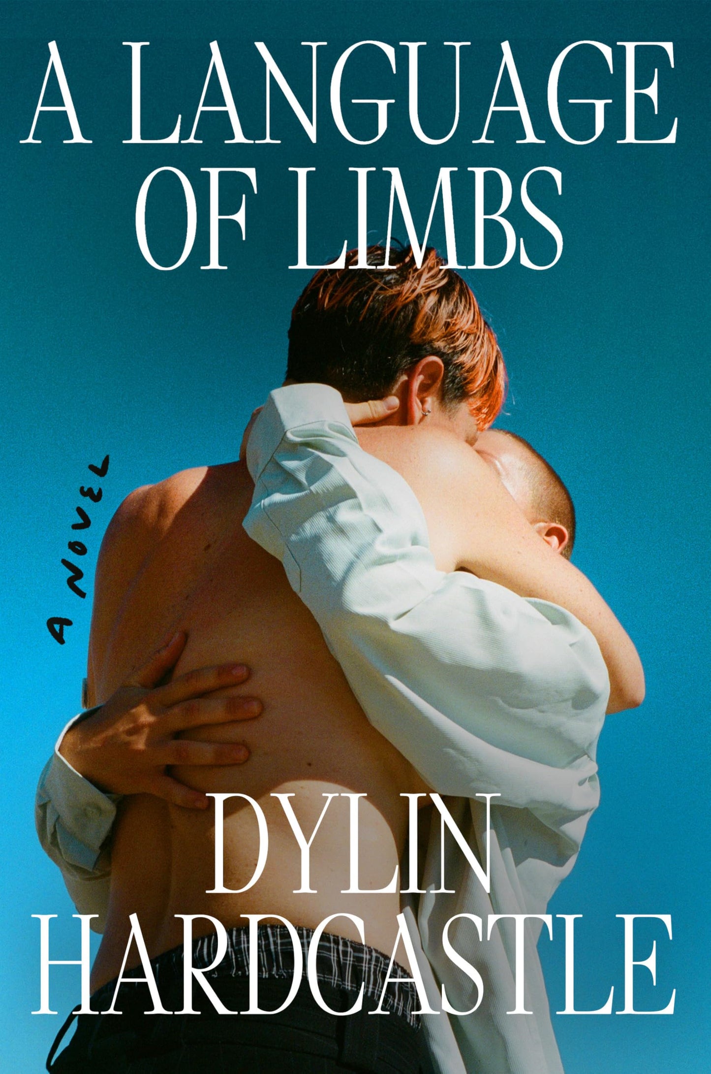A Language of Limbs book cover