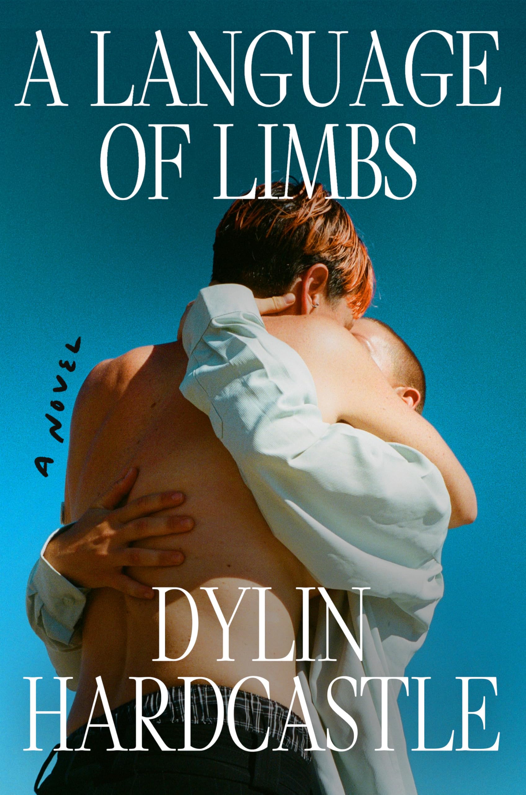 A Language of Limbs book cover