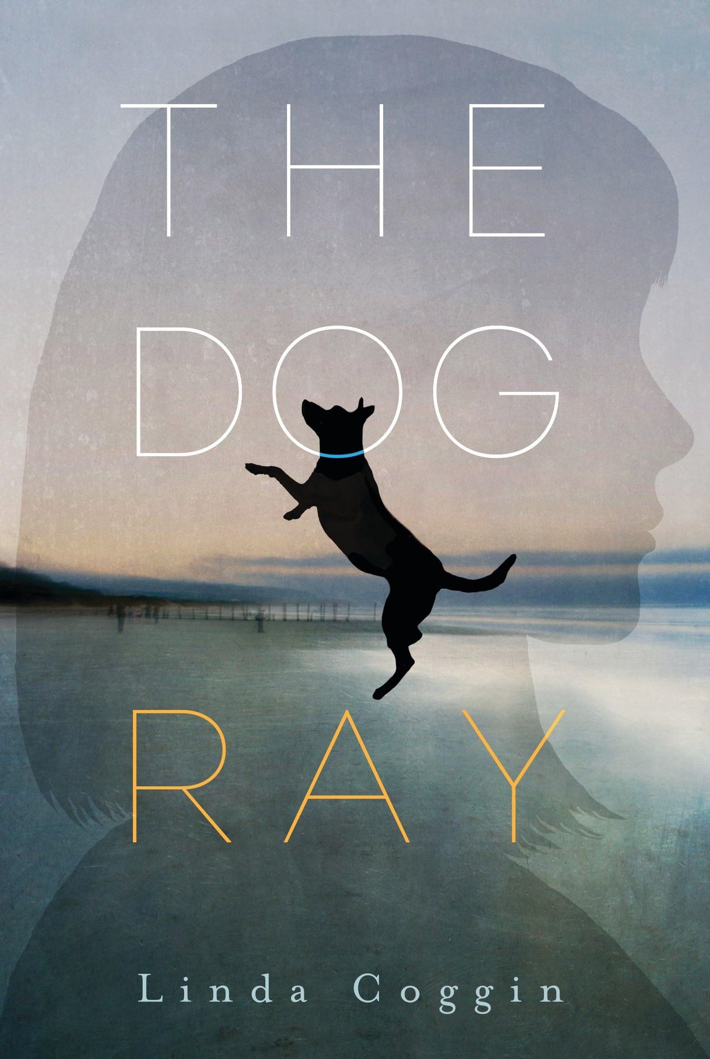 Dog, Ray book cover
