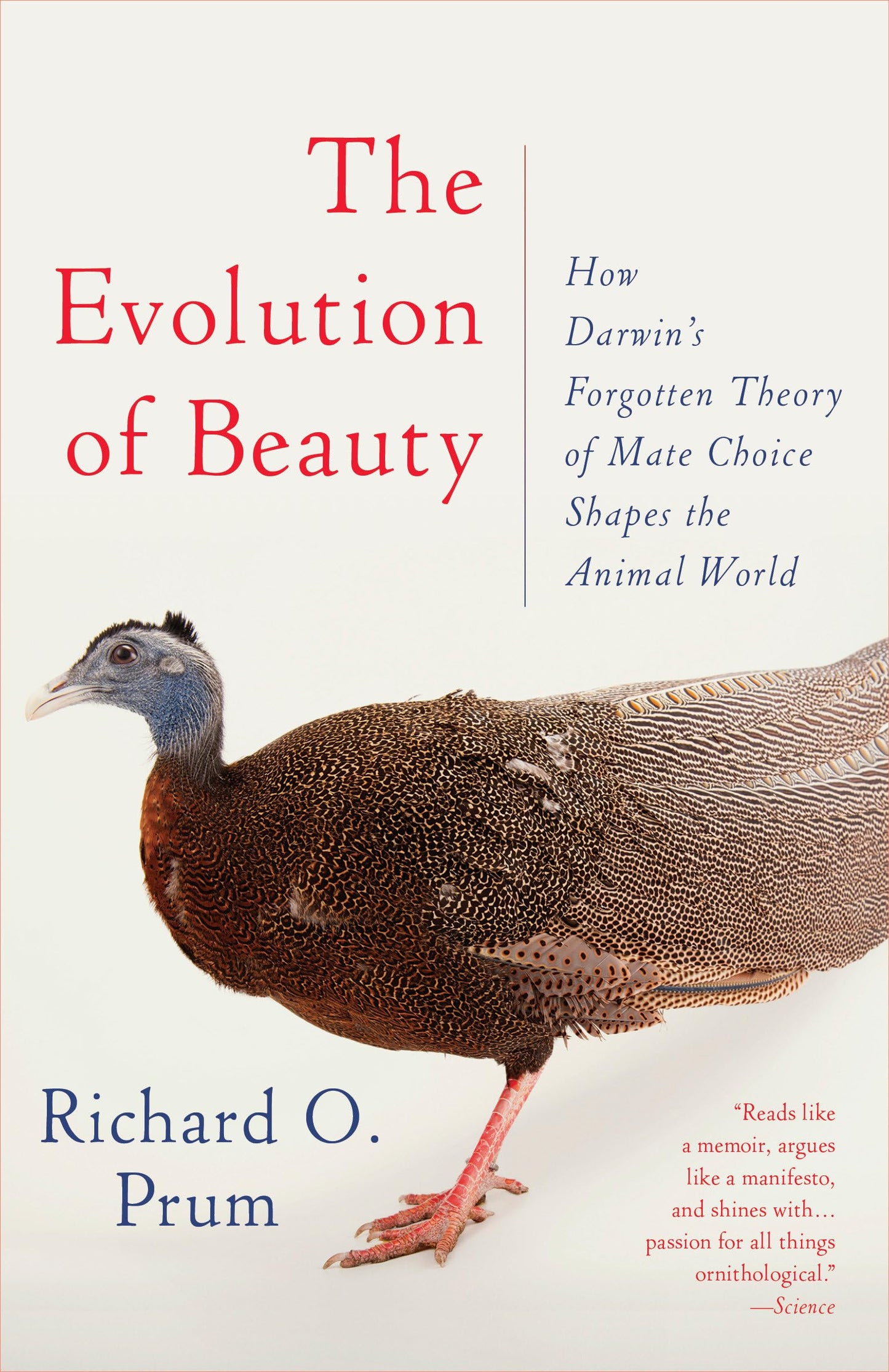 Evolution of Beauty: How Darwin's Forgotten Theory of Mate Choice Shapes the Animal World - And Us