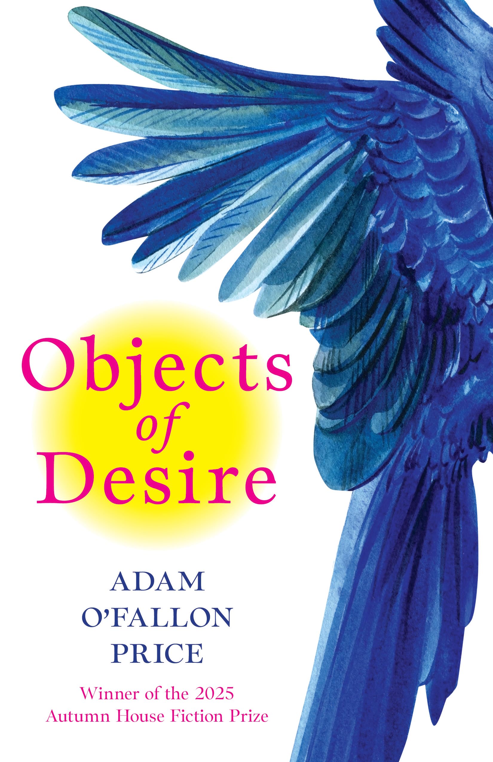Objects of Desire book cover