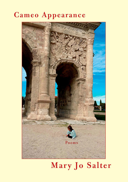 Cameo Appearance book cover
