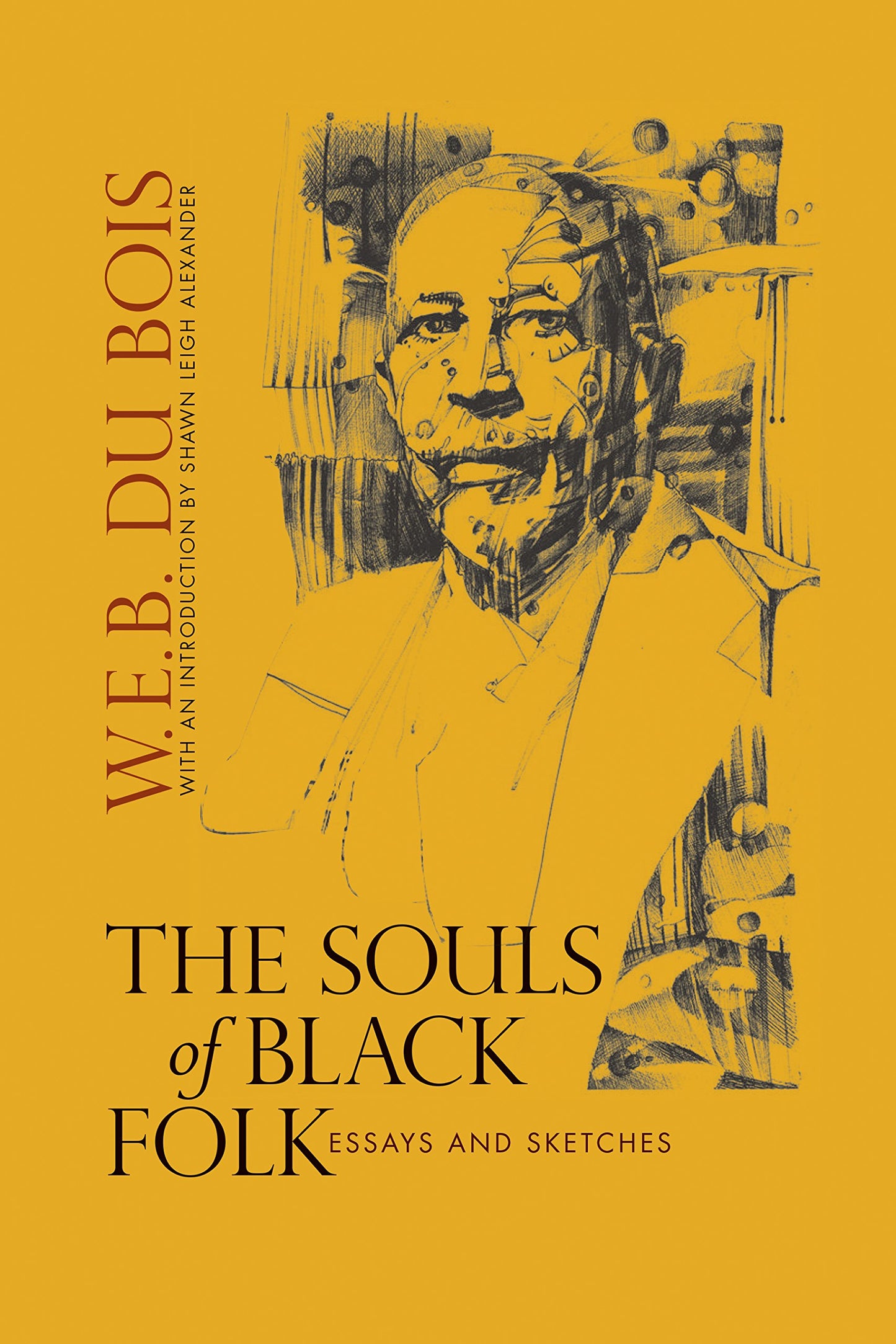 Souls of Black Folk: Essays and Sketches book cover