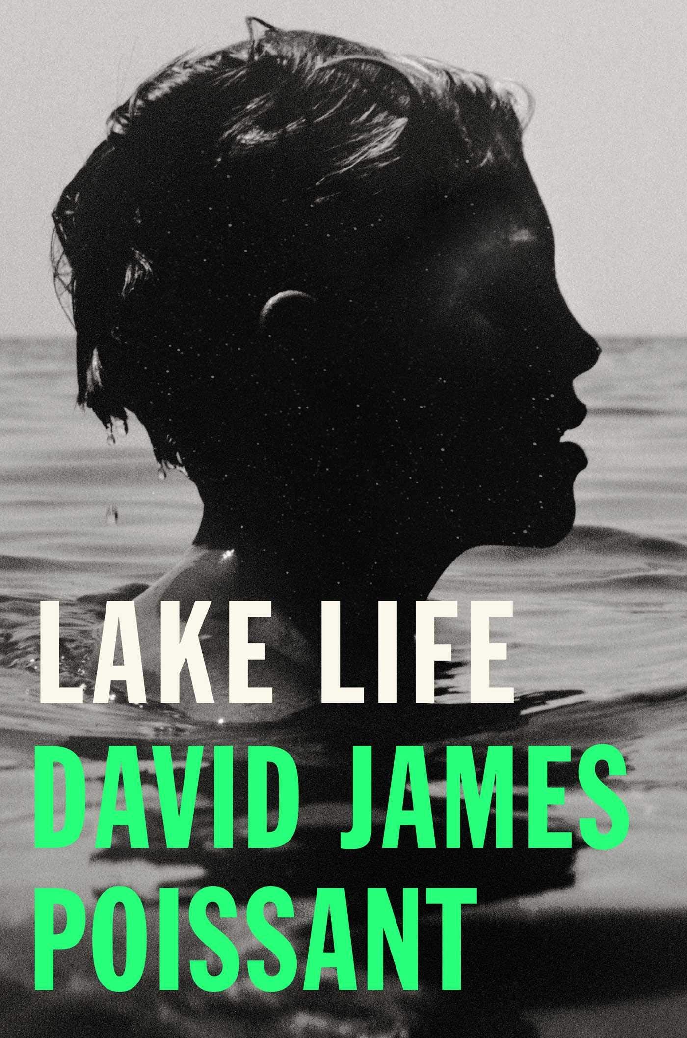 Lake Life book cover