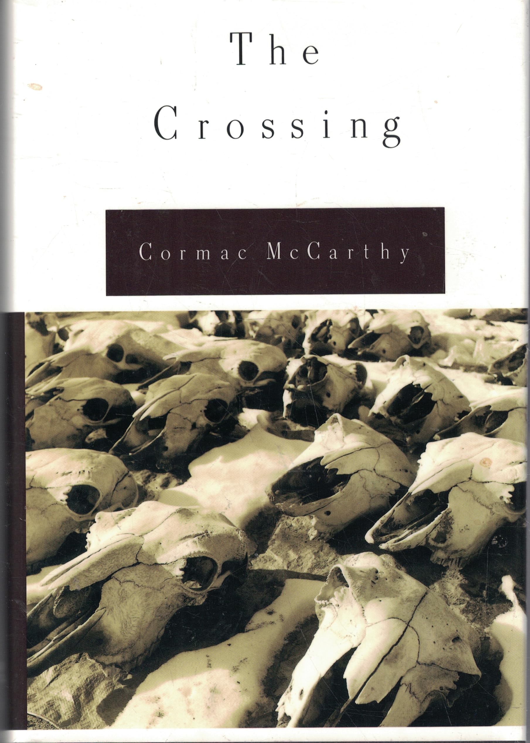 Crossing book cover
