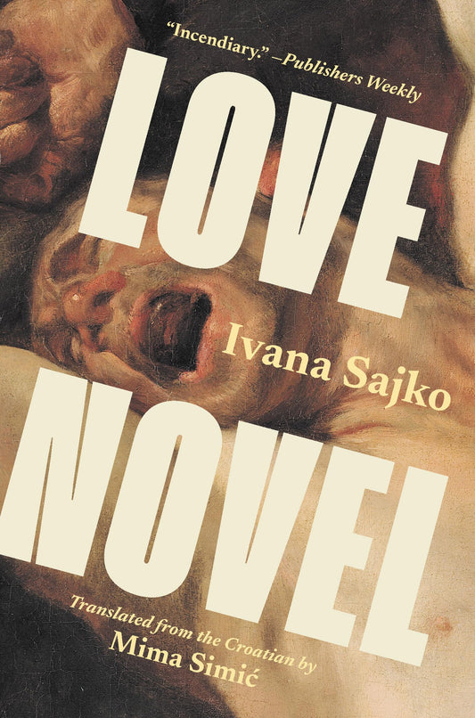 Love Novel book cover