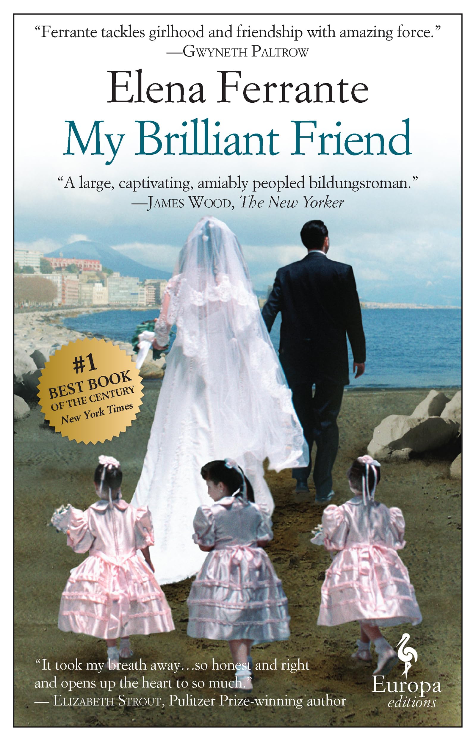 My Brilliant Friend book cover